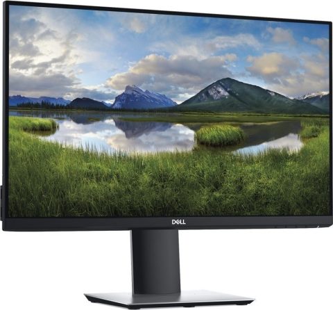 Dell P2419H *No Stand*
